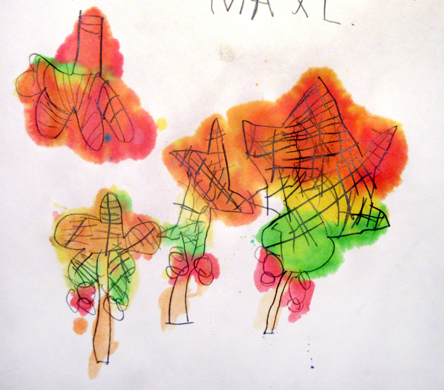 Fall leaves